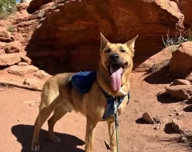 Lupin, Wag Brigade member